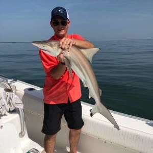 Meet your Posher, Andrue